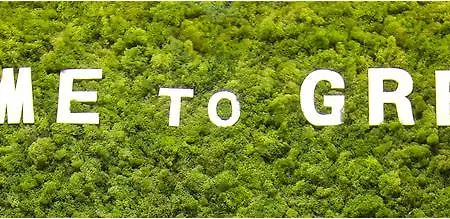 Greenslo